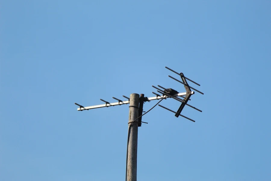 the TV antenna