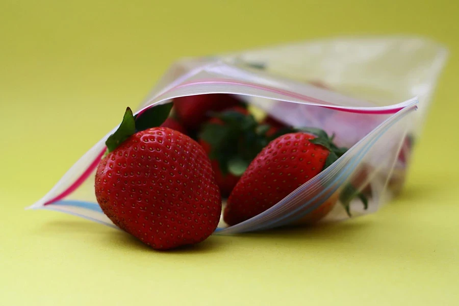 the food storage bag