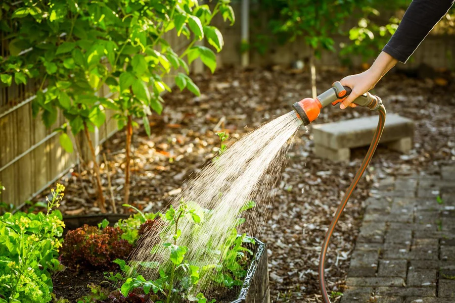 the garden water gun