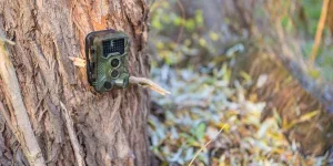 the hunting camera