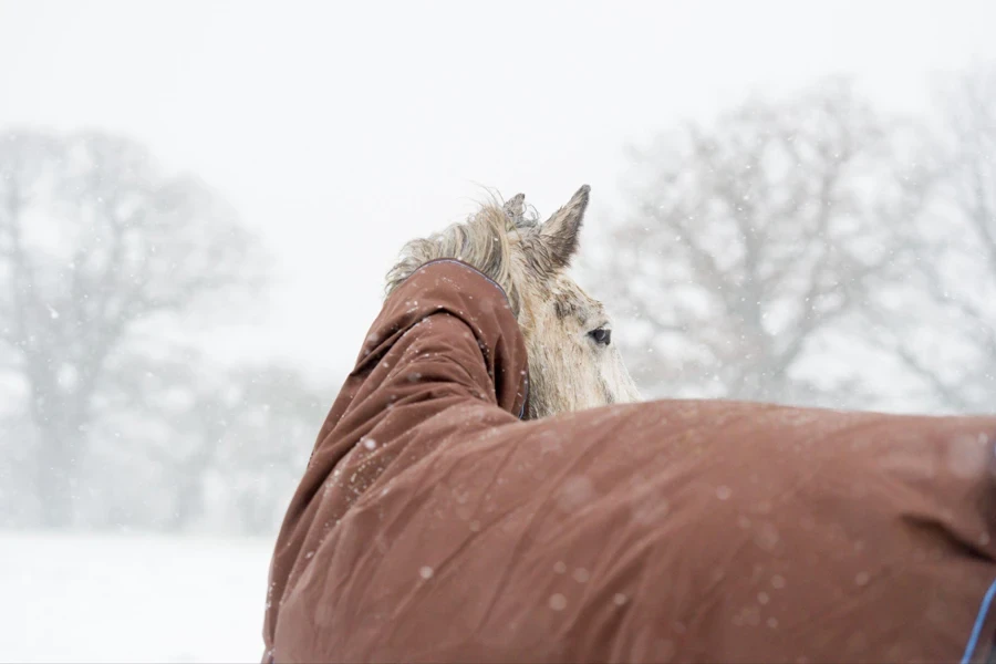 winter warmth