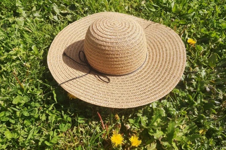 A Straw on a Field