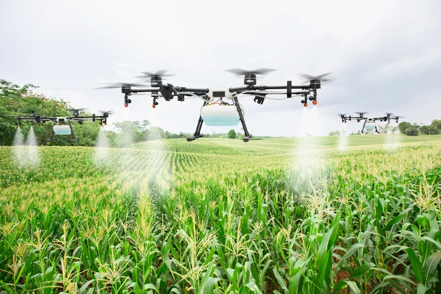 Un drone agricole vole pour pulvériser de l'engrais sur les champs de maïs doux