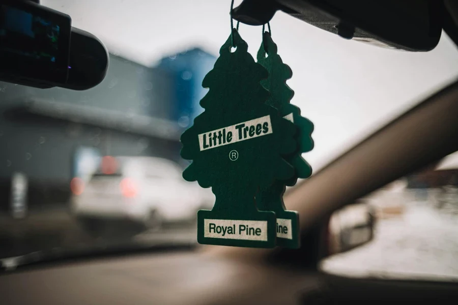 Air Fresheners in Car 