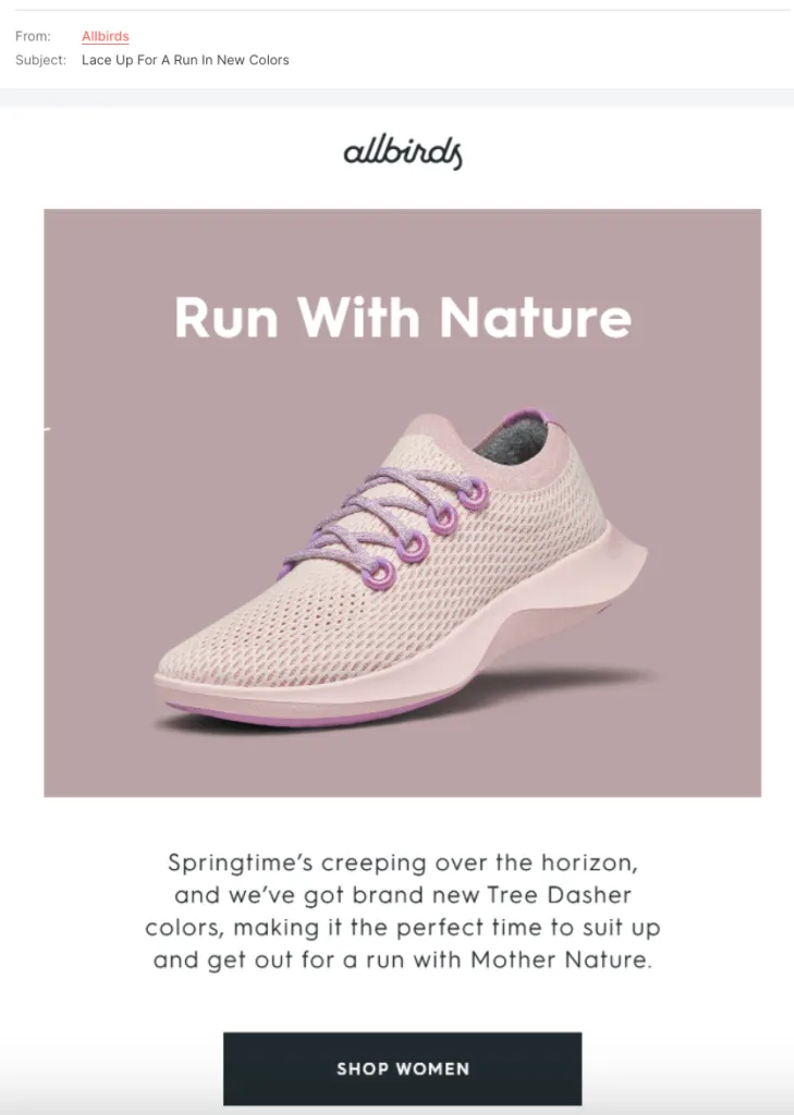 10 tips for effective email copywriting: example from Allbirds