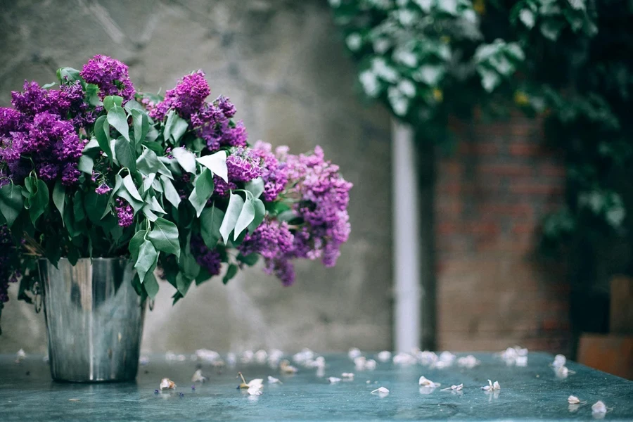 Blooming flowers in metal bucket