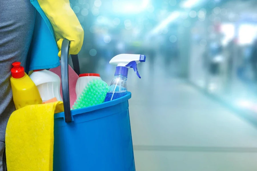 Cleaning lady with a bucket and cleaning products