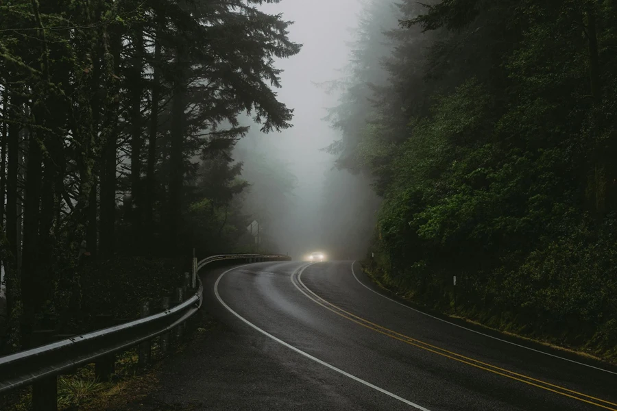 Gray Concrete Road Between Green Trees Covered With Fog