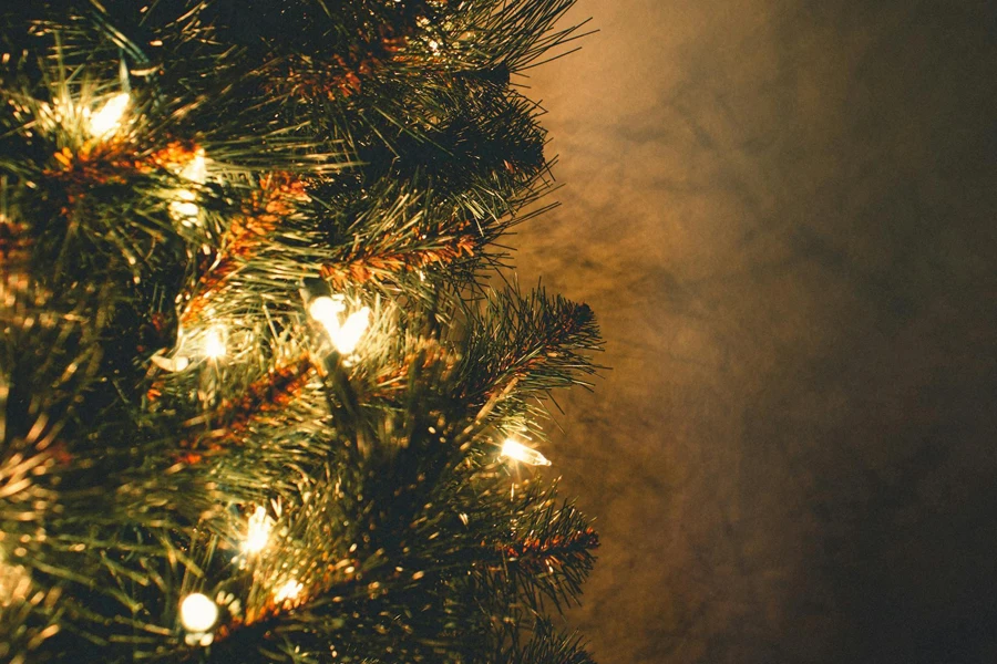 Green Christmas Tree With String Lights 