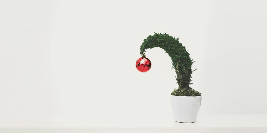 Green Plant With Red Ornament Planted in White Ceramic Pot