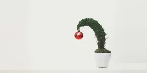 Green Plant With Red Ornament Planted in White Ceramic Pot