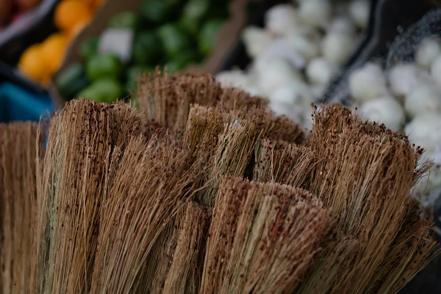 Natural brooms in the Kurdistan Region