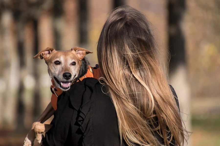 Pet owner carrying her dog