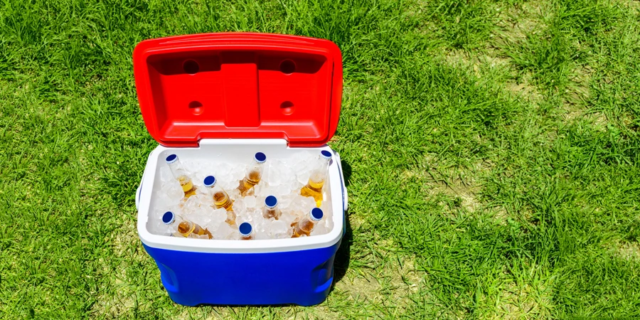 Picnic cooler box with beer bottles