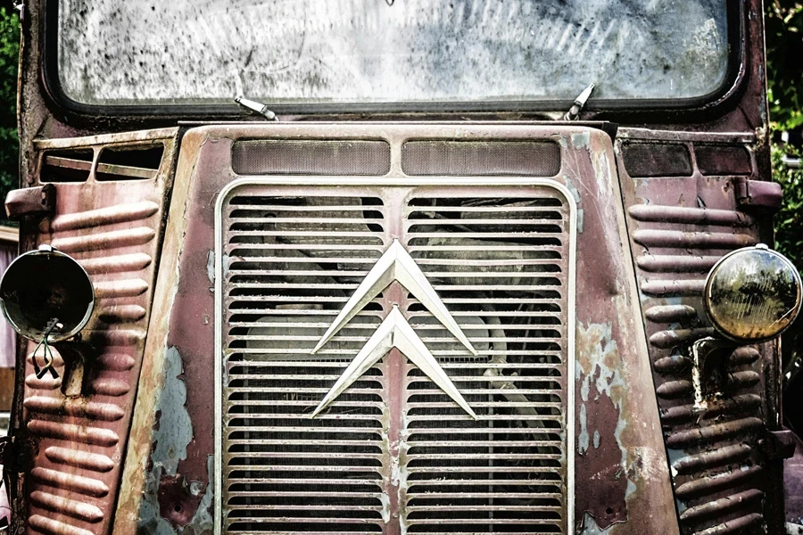 Red Car Grill With Emblem