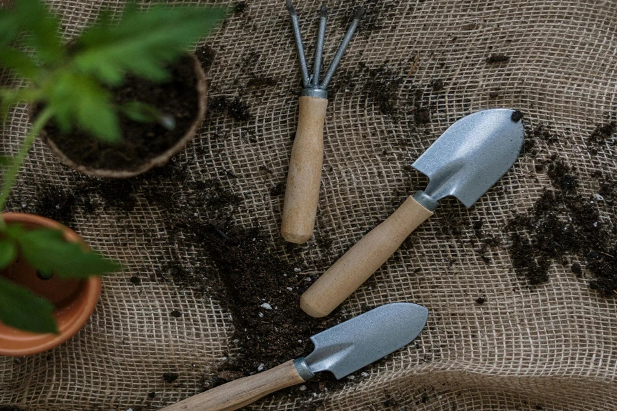 Top View Photo of Gardening Tools