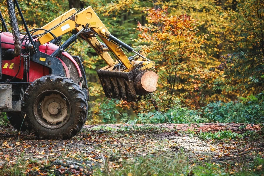 Tractor with grapple in forest.