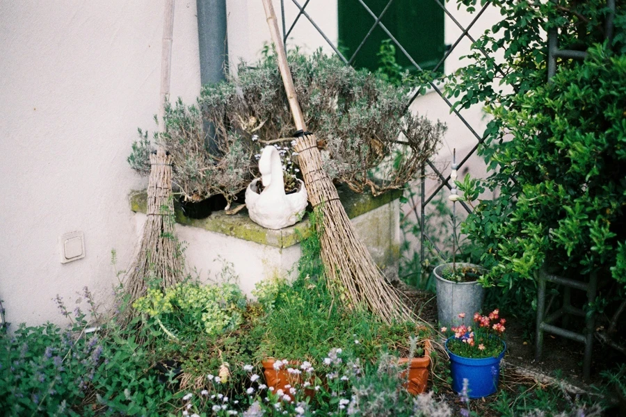 Two Brooms Near Fence and Wall