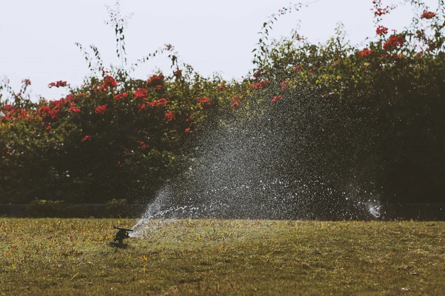 Water Sprinkler on the Grass