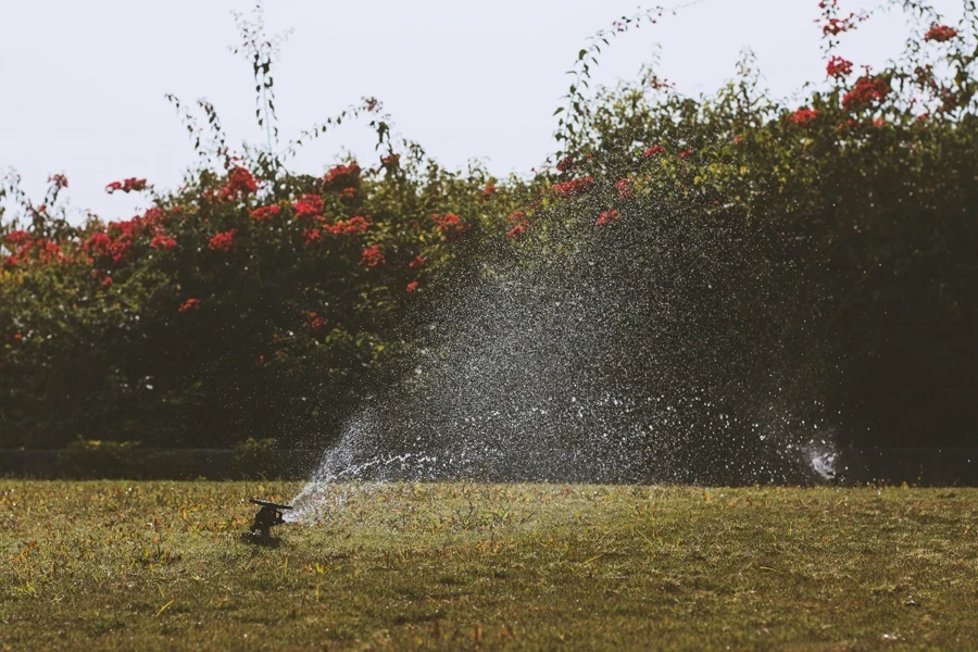 Water Sprinkler on the Grass