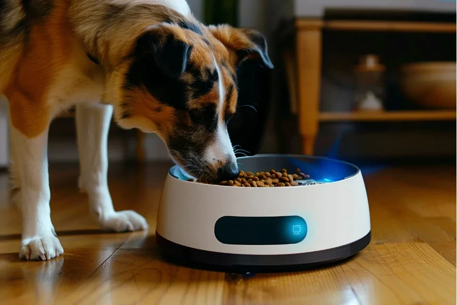 a dog eating out of a dog feeder