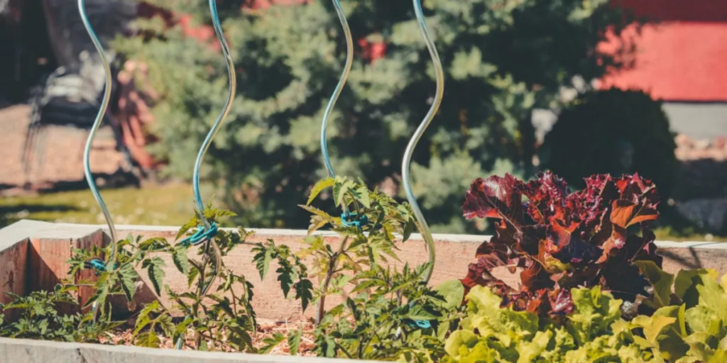 a modern garden with vegetables