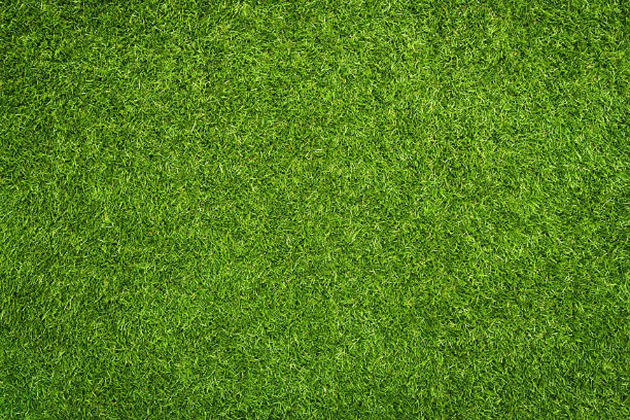 artificial grass