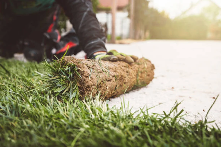 artificial grass