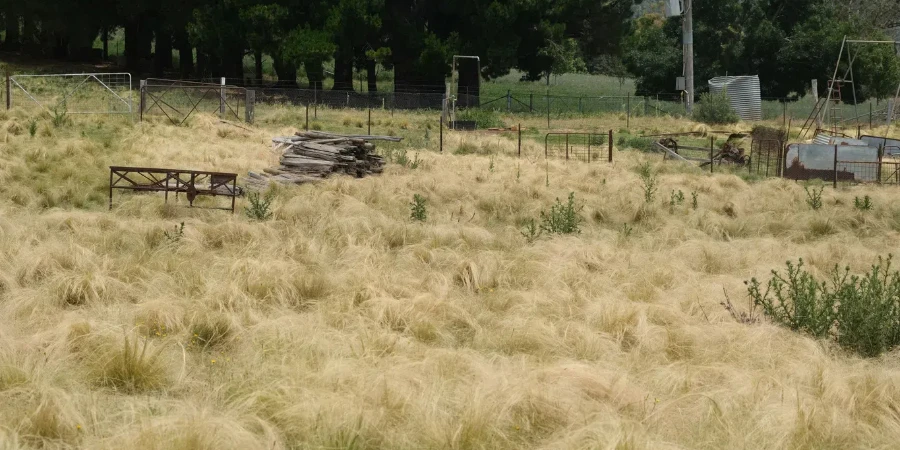 beds of hay in the fields