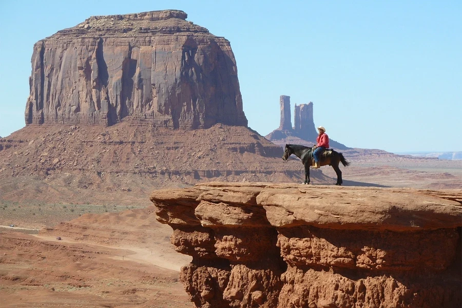 cowboy riding a horse in the sun