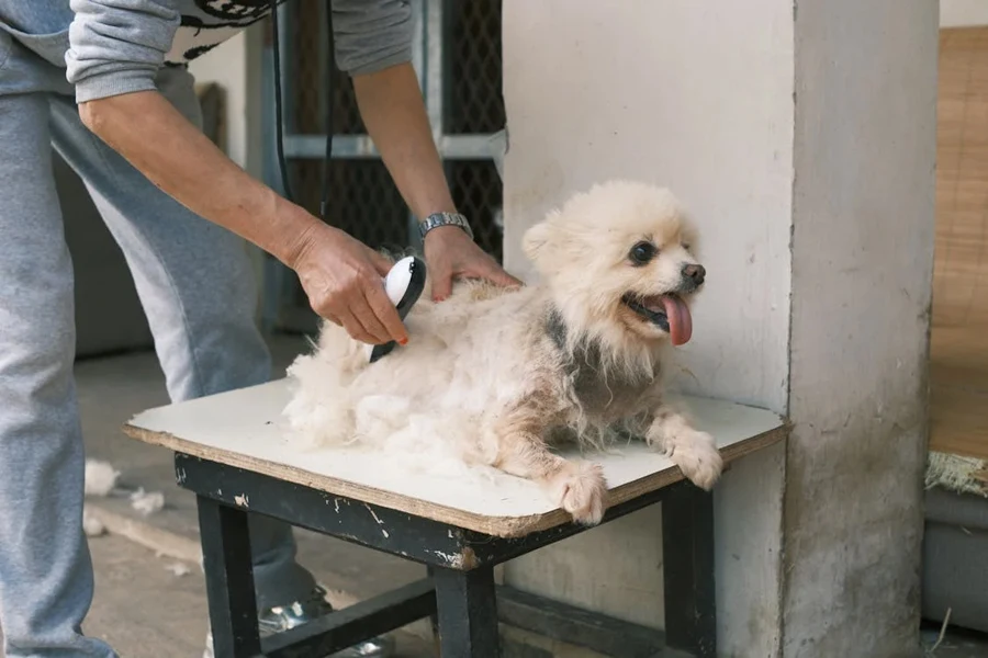 dog grooming