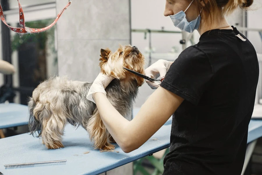 dog grooming