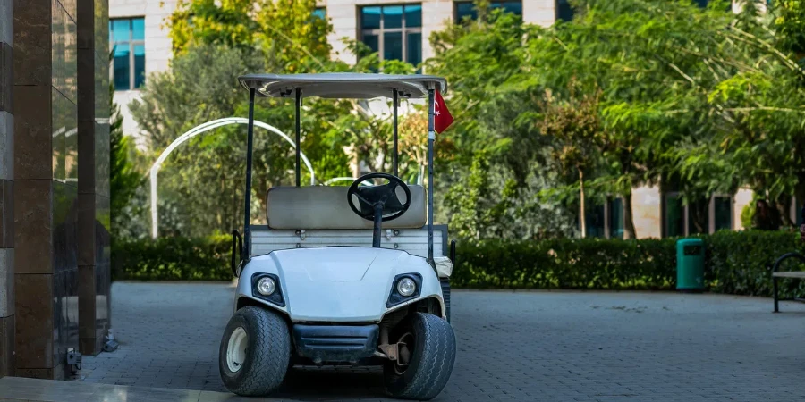 electric golf cart, freight transport