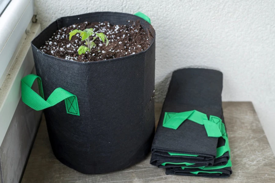 fabric bag with soil and tomato plant