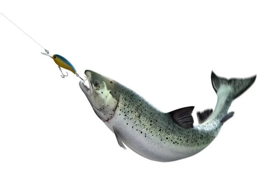 fishing lure