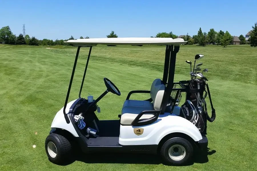 golf cart, grass, outdoor by ingagestroliac