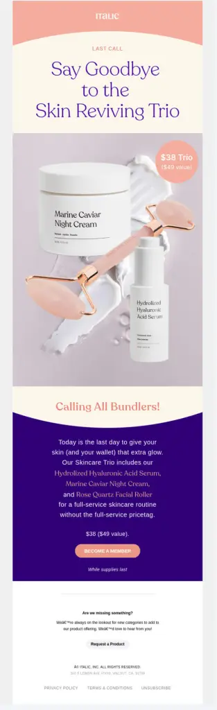 Italice: Skincare email example