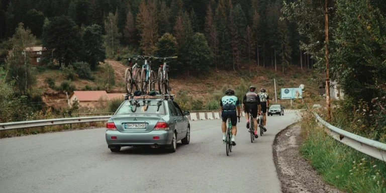 mountain bikes and road bikes