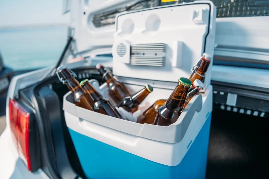 portable fridge with beer standing in car