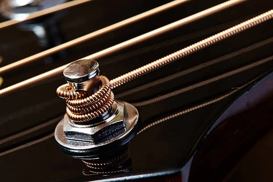 stringed instrument