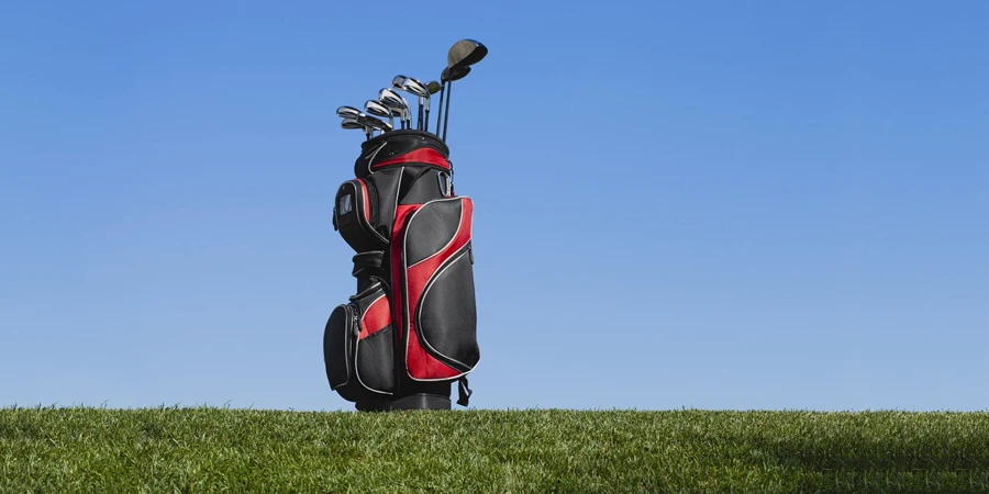 the golf bag