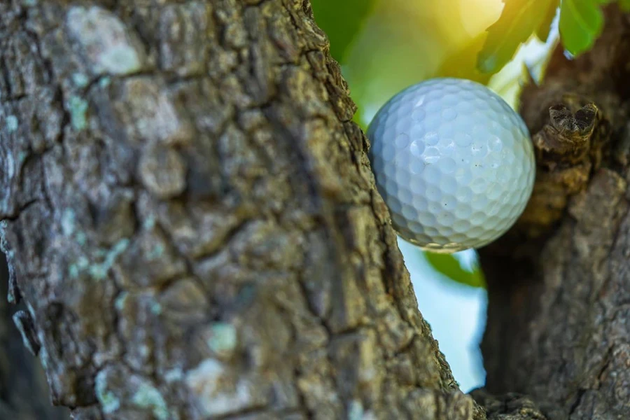 the golf ball