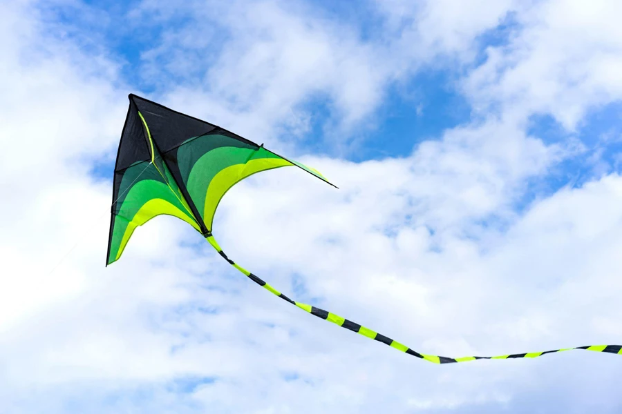 the outdoor kite