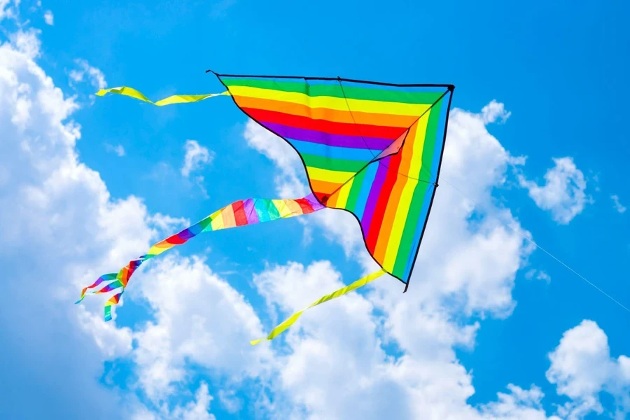 the outdoor kite