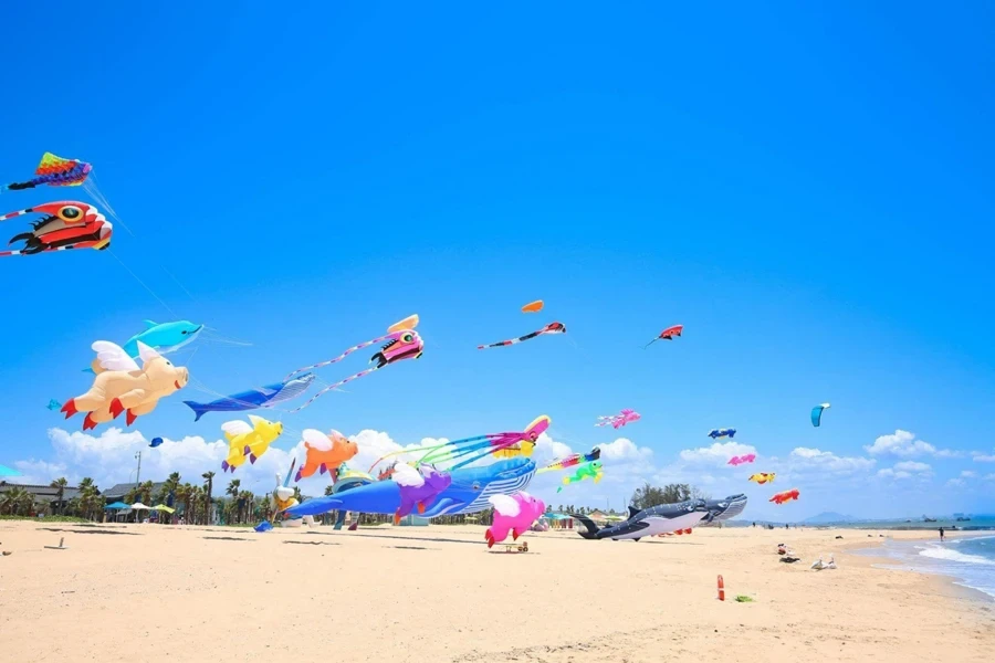 the outdoor kite