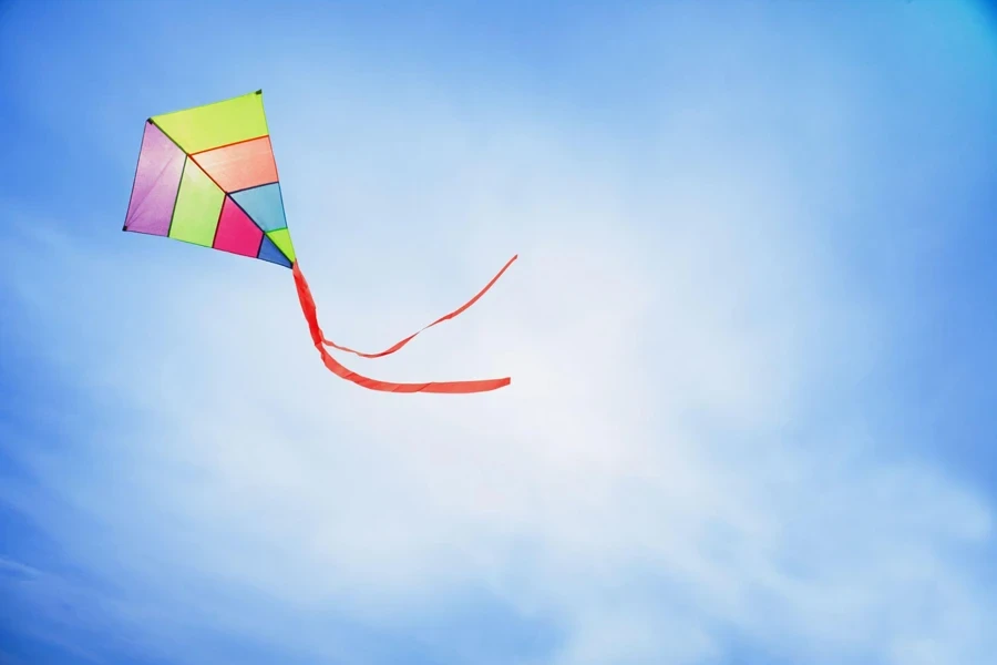 the outdoor kite