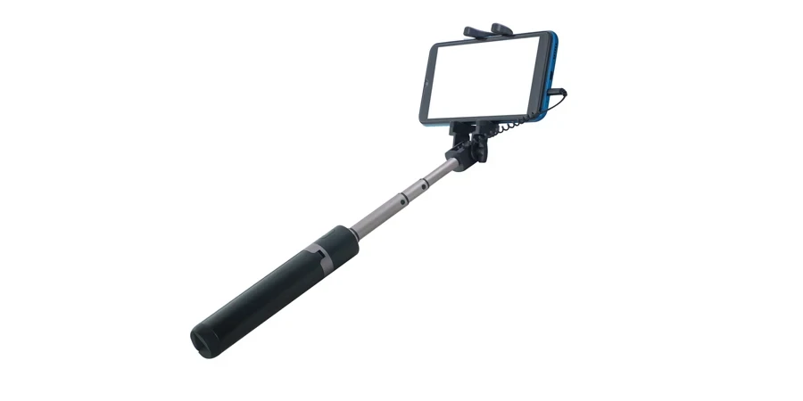 the selfie stick