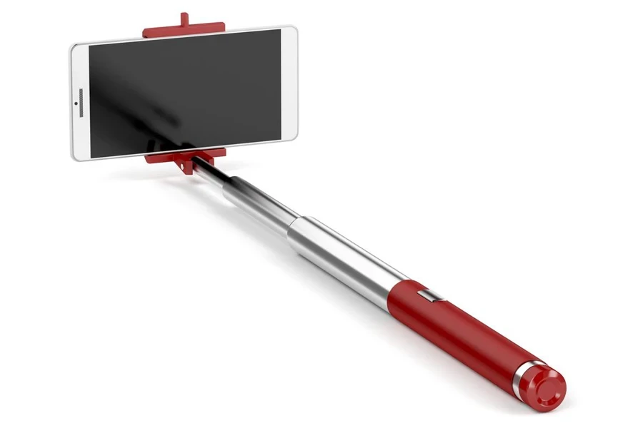 the selfie stick