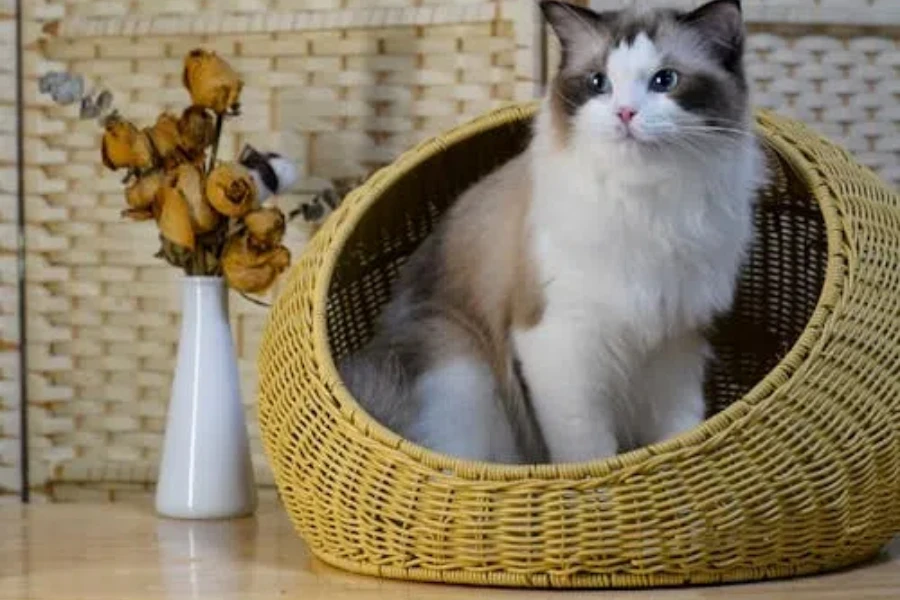 Wicker basket cat bed with wide opening