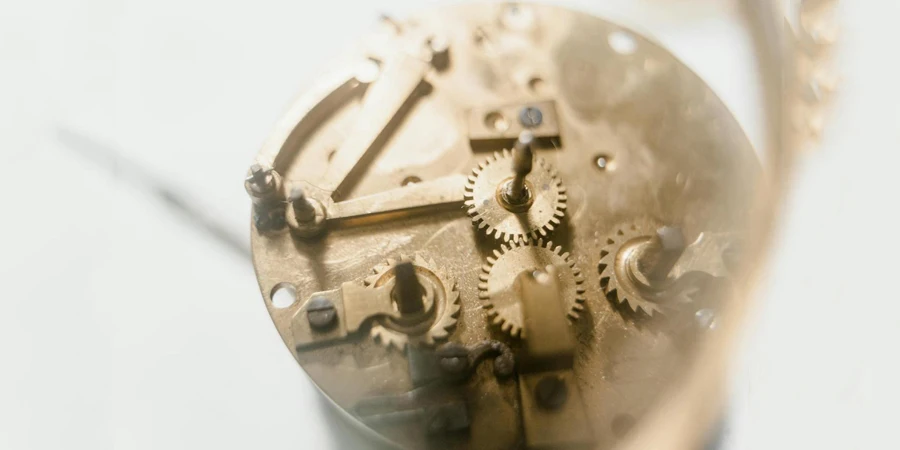 A Detailed Look at a Watch Mechanism